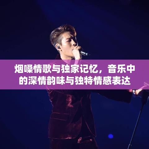 煙嗓情歌與獨家記憶，音樂中的深情韻味與獨特情感表達(dá)