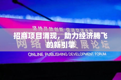 招商項(xiàng)目涌現(xiàn)，助力經(jīng)濟(jì)騰飛的新引擎