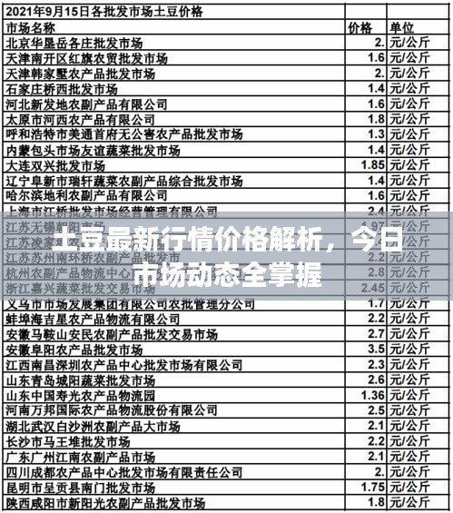 土豆最新行情價格解析，今日市場動態(tài)全掌握