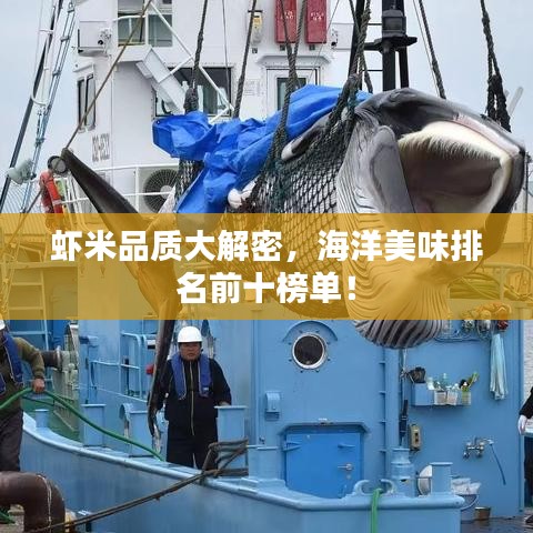 蝦米品質(zhì)大解密，海洋美味排名前十榜單！