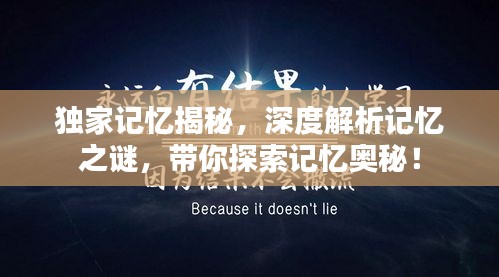 獨(dú)家記憶揭秘，深度解析記憶之謎，帶你探索記憶奧秘！