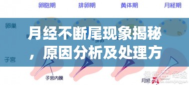 月經(jīng)不斷尾現(xiàn)象揭秘，原因分析及處理方法