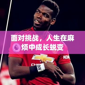 面對(duì)挑戰(zhàn)，人生在麻煩中成長(zhǎng)蛻變