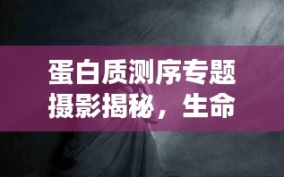 蛋白質(zhì)測序?qū)ｎ}攝影揭秘，生命之鏈的深邃奧秘