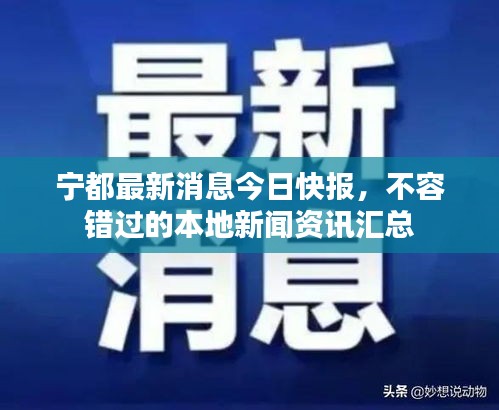 寧都最新消息今日快報(bào)，不容錯(cuò)過的本地新聞資訊匯總