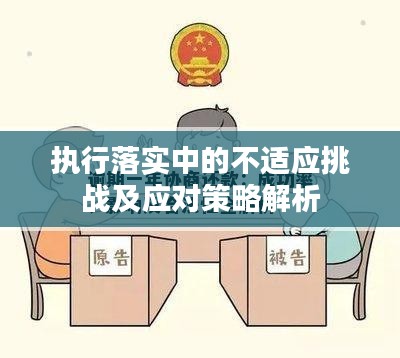 執(zhí)行落實(shí)中的不適應(yīng)挑戰(zhàn)及應(yīng)對策略解析