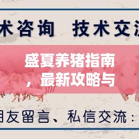 盛夏養(yǎng)豬指南，最新攻略與技巧