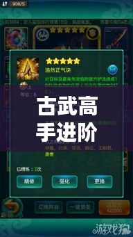 古武高手進(jìn)階秘籍，獨(dú)家心得與最新秘籍分享