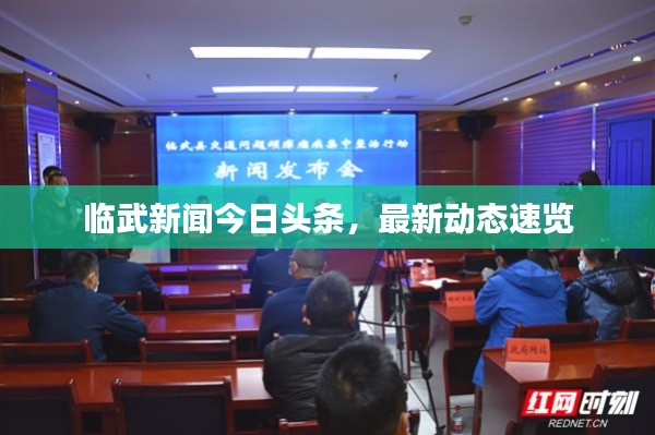 臨武新聞今日頭條，最新動(dòng)態(tài)速覽