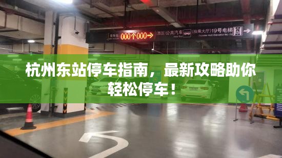 杭州東站停車指南，最新攻略助你輕松停車！