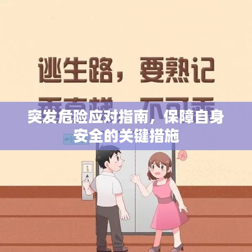 突發(fā)危險應(yīng)對指南，保障自身安全的關(guān)鍵措施