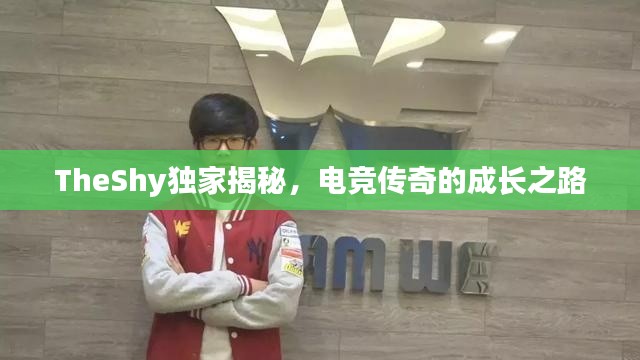 TheShy獨(dú)家揭秘，電競傳奇的成長之路