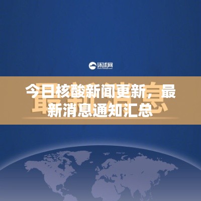 今日核酸新聞更新，最新消息通知匯總