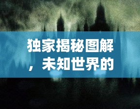獨家揭秘圖解，未知世界的神秘面紗全揭曉！