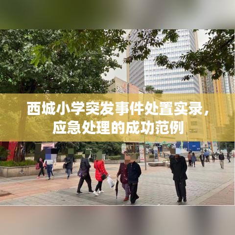 西城小學(xué)突發(fā)事件處置實(shí)錄，應(yīng)急處理的成功范例