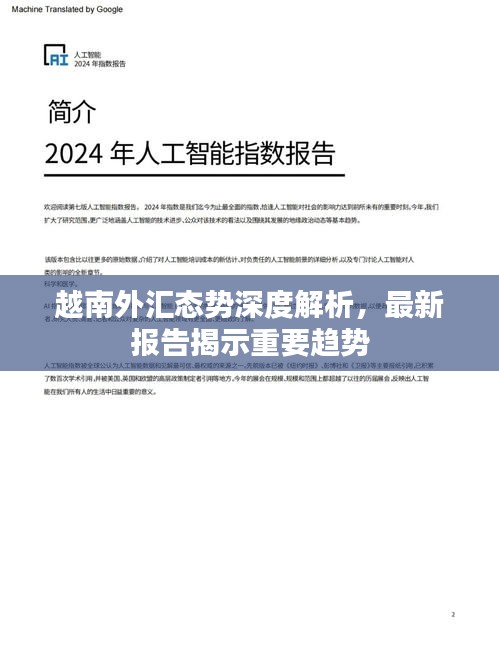 越南外匯態(tài)勢(shì)深度解析，最新報(bào)告揭示重要趨勢(shì)