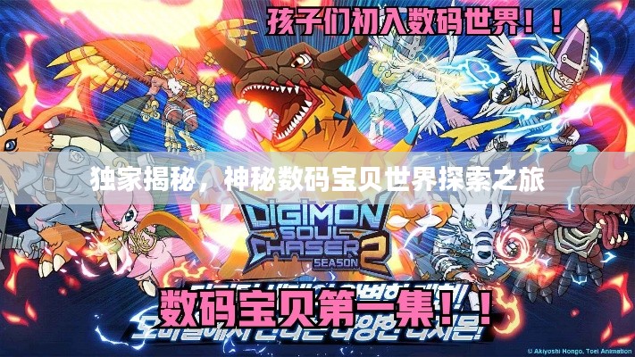 獨(dú)家揭秘，神秘?cái)?shù)碼寶貝世界探索之旅