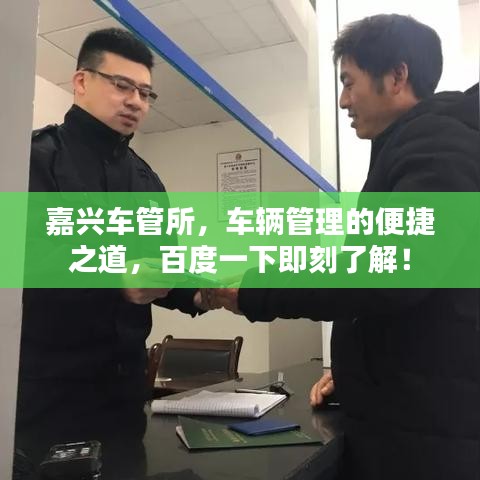 嘉興車管所，車輛管理的便捷之道，百度一下即刻了解！