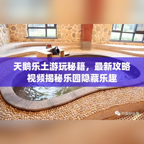 天鵝樂土游玩秘籍，最新攻略視頻揭秘樂園隱藏樂趣