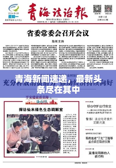 青海新聞速遞，最新頭條盡在其中