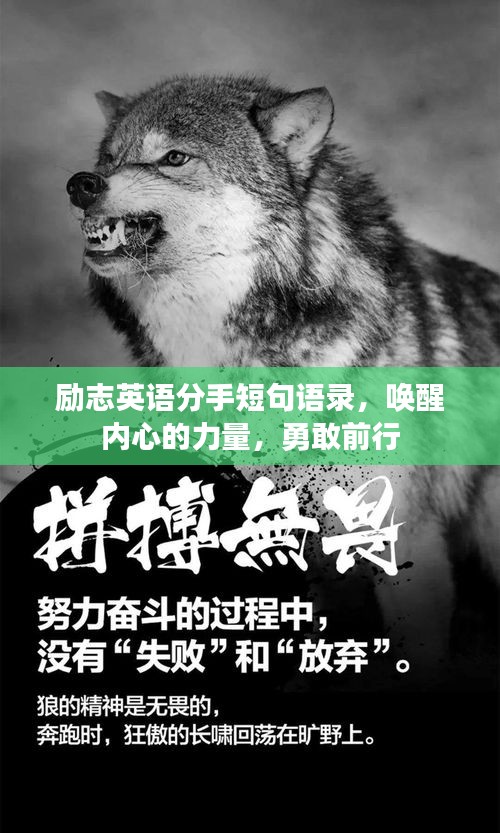 勵志英語分手短句語錄，喚醒內(nèi)心的力量，勇敢前行