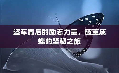 盜車背后的勵(lì)志力量，破繭成蝶的堅(jiān)韌之旅