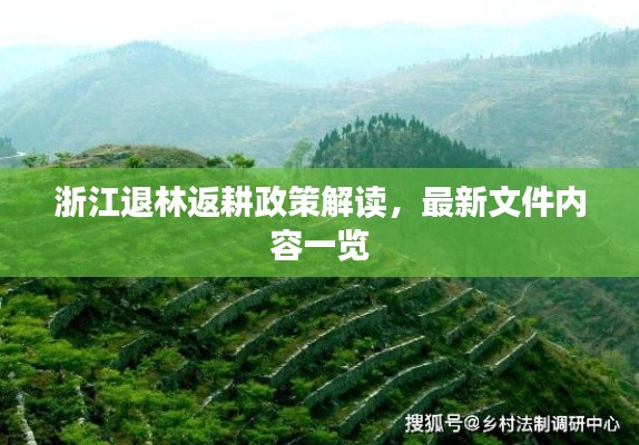 浙江退林返耕政策解讀，最新文件內(nèi)容一覽