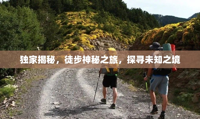 獨家揭秘，徒步神秘之旅，探尋未知之境