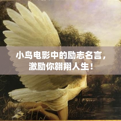 小鳥(niǎo)電影中的勵(lì)志名言，激勵(lì)你翱翔人生！