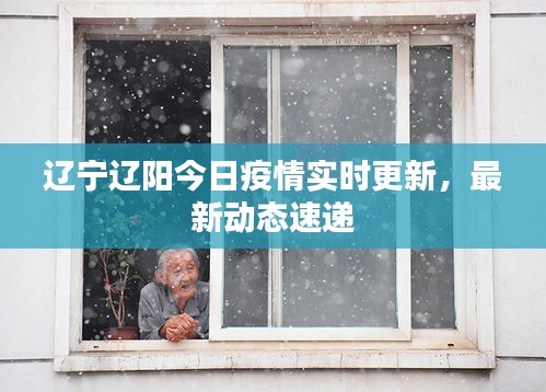 遼寧遼陽今日疫情實(shí)時(shí)更新，最新動(dòng)態(tài)速遞