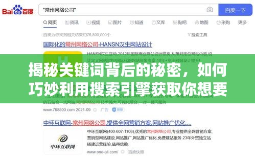 揭秘關(guān)鍵詞背后的秘密，如何巧妙利用搜索引擎獲取你想要的信息