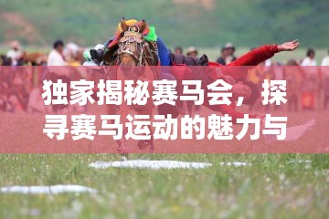 獨家揭秘賽馬會，探尋賽馬運動的魅力與面臨的挑戰(zhàn)