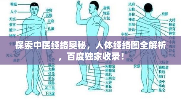 探索中醫(yī)經(jīng)絡(luò)奧秘，人體經(jīng)絡(luò)圖全解析，百度獨(dú)家收錄！