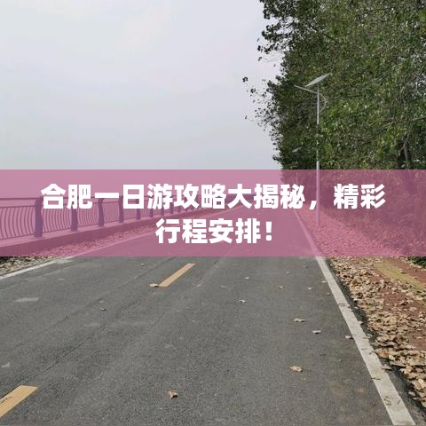 合肥一日游攻略大揭秘，精彩行程安排！