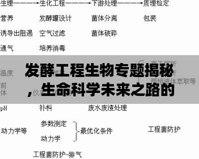 發(fā)酵工程生物專(zhuān)題揭秘，生命科學(xué)未來(lái)之路的探索之旅