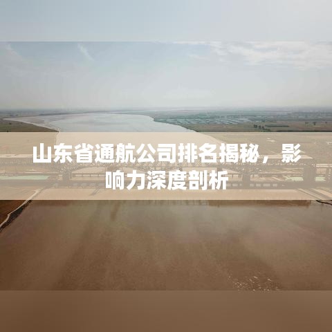 山東省通航公司排名揭秘，影響力深度剖析
