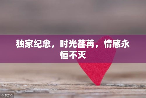 獨(dú)家紀(jì)念，時(shí)光荏苒，情感永恒不滅