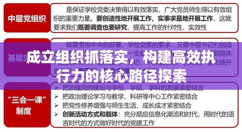 成立組織抓落實(shí)，構(gòu)建高效執(zhí)行力的核心路徑探索