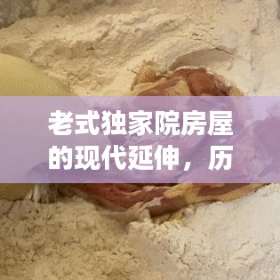 老式獨家院房屋的現(xiàn)代延伸，歷史記憶與當代生活的完美交融