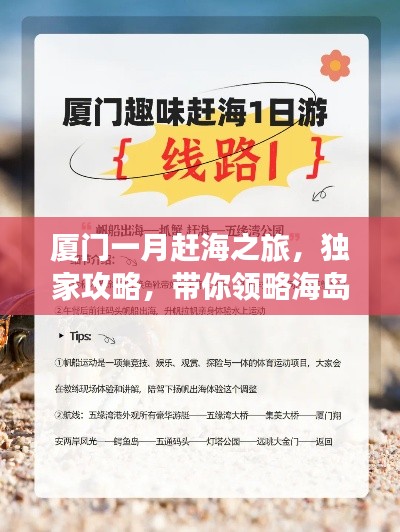 廈門一月趕海之旅，獨家攻略，帶你領略海島風情！