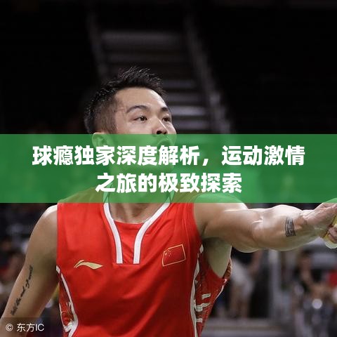 球癮獨(dú)家深度解析，運(yùn)動(dòng)激情之旅的極致探索