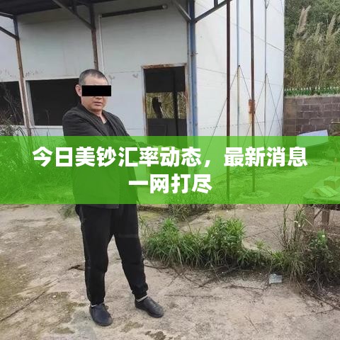今日美鈔匯率動態(tài)，最新消息一網(wǎng)打盡
