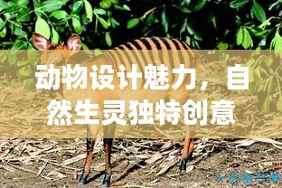 動(dòng)物設(shè)計(jì)魅力，自然生靈獨(dú)特創(chuàng)意展現(xiàn)