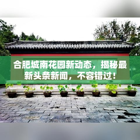 合肥城南花園新動態(tài)，揭秘最新頭條新聞，不容錯過！