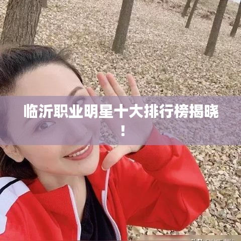 臨沂職業(yè)明星十大排行榜揭曉！