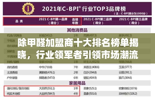 除甲醛加盟商十大排名榜單揭曉，行業(yè)領(lǐng)軍者引領(lǐng)市場潮流