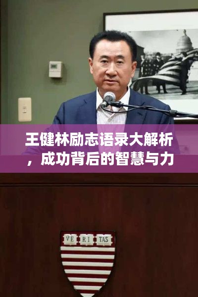 王健林勵(lì)志語(yǔ)錄大解析，成功背后的智慧與力量