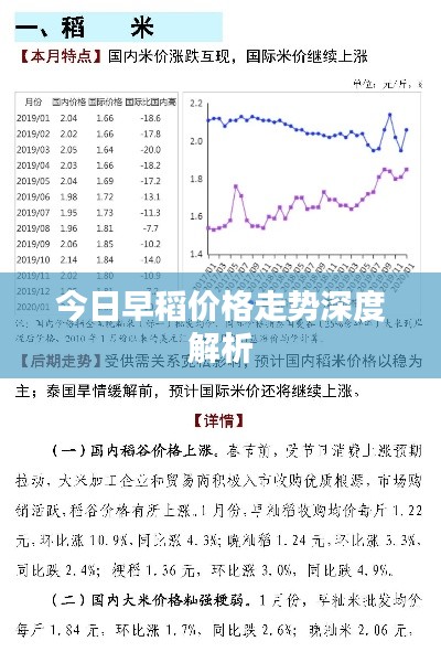 2025年4月 第58頁