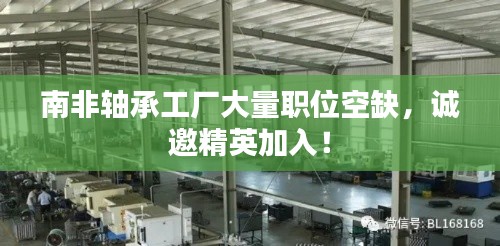 南非軸承工廠大量職位空缺，誠邀精英加入！