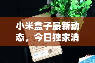 都中紙貴